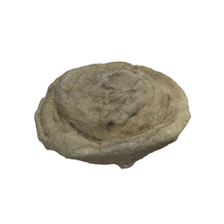 산호화석(판상산호)(3000960)