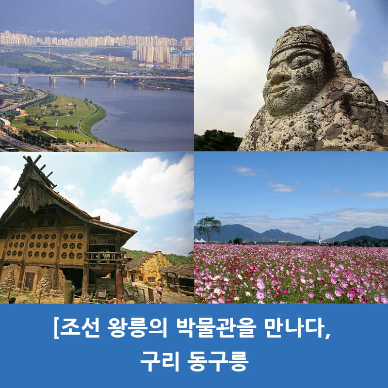 조선 왕릉의 박물관을 만나다, 구리 동구릉