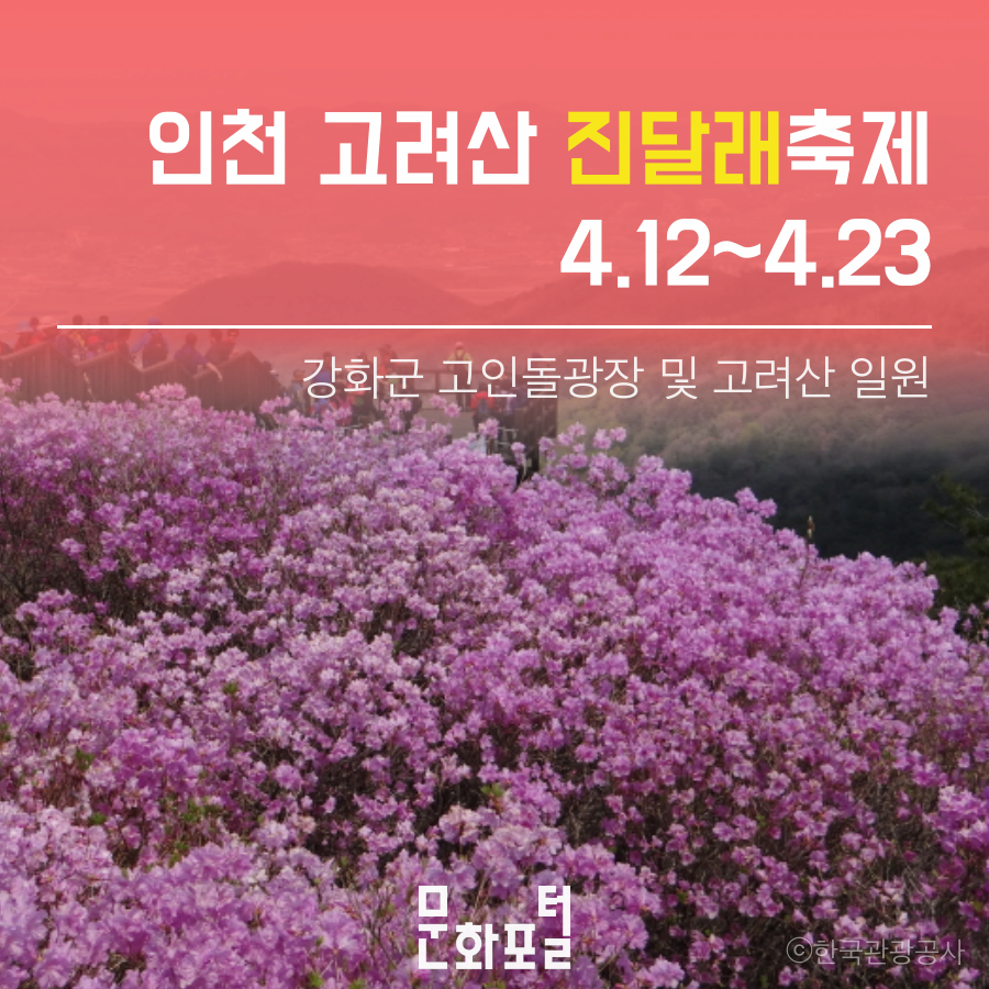 인천 고려산 진달래축제
4.12~4.23.
강화군 고인돌광장 및 고려산 일원