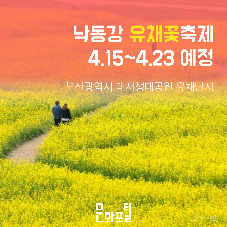 낙동강 유채꽃축제
4.12~4.23 예정
부산광역시 대저생태공원 유채단지