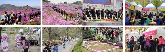 21th 비슬산 참꽃 문화제