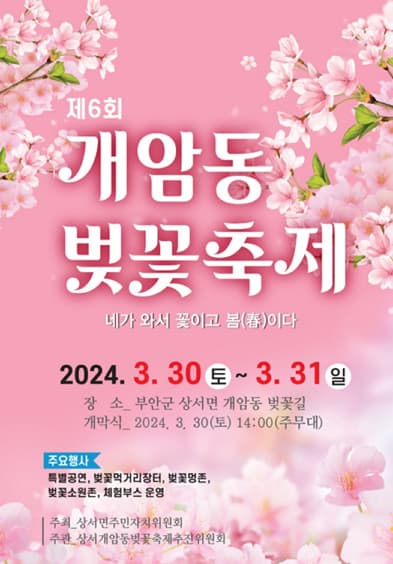 [전북 부안] 제6회 개암동 벚꽃축제