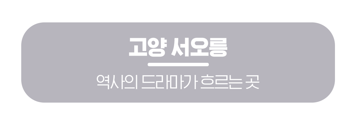 260330_%EB%AC%B8%ED%99%94%EA%B3%B5%EA%B0%90_%EC%A1%B0%EC%84%A0%EC%99%95%EB%A6%89%EC%97%90%EC%84%9C%EB%A7%8C%EB%82%98%EB%8A%94%EB%B4%84_%EB%A7%81%ED%81%AC%EB%B2%84%ED%8A%BC_04.png