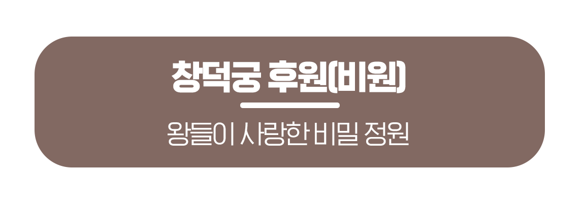 260316_%EB%AC%B8%ED%99%94%EA%B3%B5%EA%B0%90_%ED%95%9C%EA%B5%AD%EC%9D%98%EC%A0%84%ED%86%B5%EC%A0%95%EC%9B%90_%EB%A7%81%ED%81%AC%EB%B2%84%ED%8A%BC_01.png