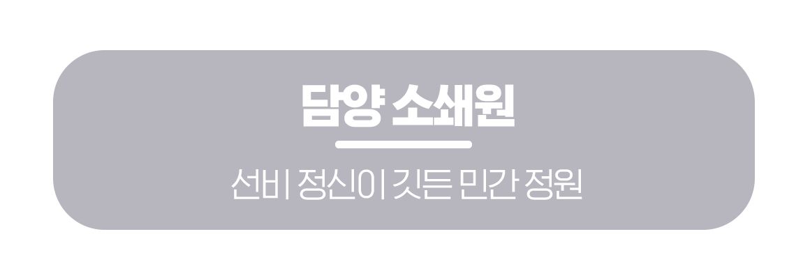 260316_%EB%AC%B8%ED%99%94%EA%B3%B5%EA%B0%90_%ED%95%9C%EA%B5%AD%EC%9D%98%EC%A0%84%ED%86%B5%EC%A0%95%EC%9B%90_%EB%A7%81%ED%81%AC%EB%B2%84%ED%8A%BC_02.png