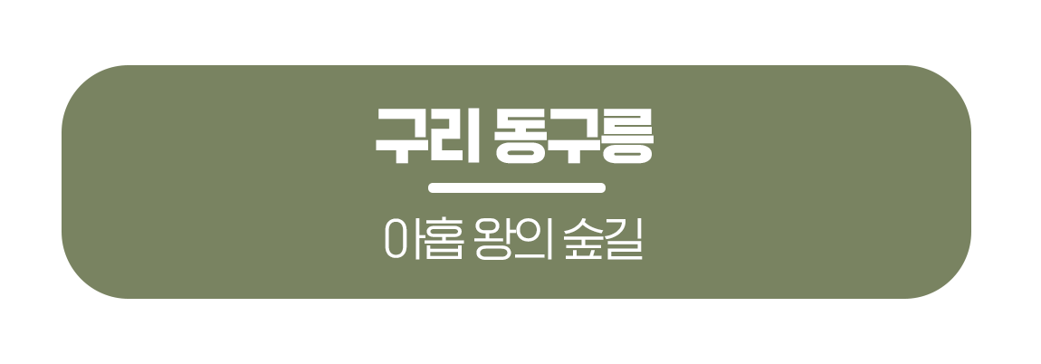 260330_%EB%AC%B8%ED%99%94%EA%B3%B5%EA%B0%90_%EC%A1%B0%EC%84%A0%EC%99%95%EB%A6%89%EC%97%90%EC%84%9C%EB%A7%8C%EB%82%98%EB%8A%94%EB%B4%84_%EB%A7%81%ED%81%AC%EB%B2%84%ED%8A%BC_01.png