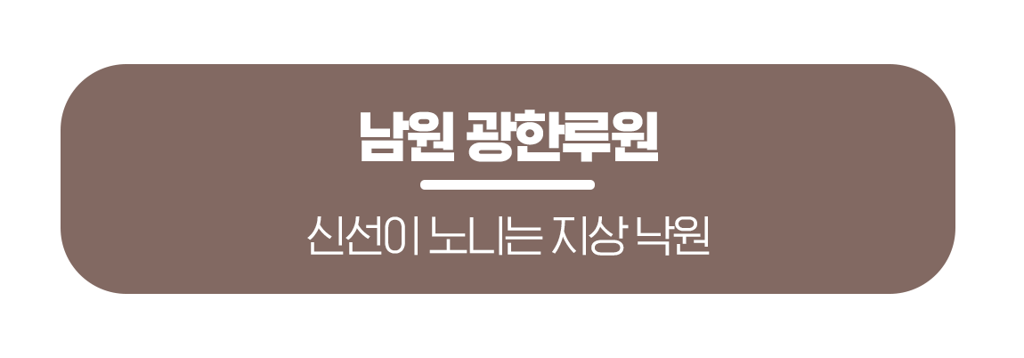 260316_%EB%AC%B8%ED%99%94%EA%B3%B5%EA%B0%90_%ED%95%9C%EA%B5%AD%EC%9D%98%EC%A0%84%ED%86%B5%EC%A0%95%EC%9B%90_%EB%A7%81%ED%81%AC%EB%B2%84%ED%8A%BC_03.png