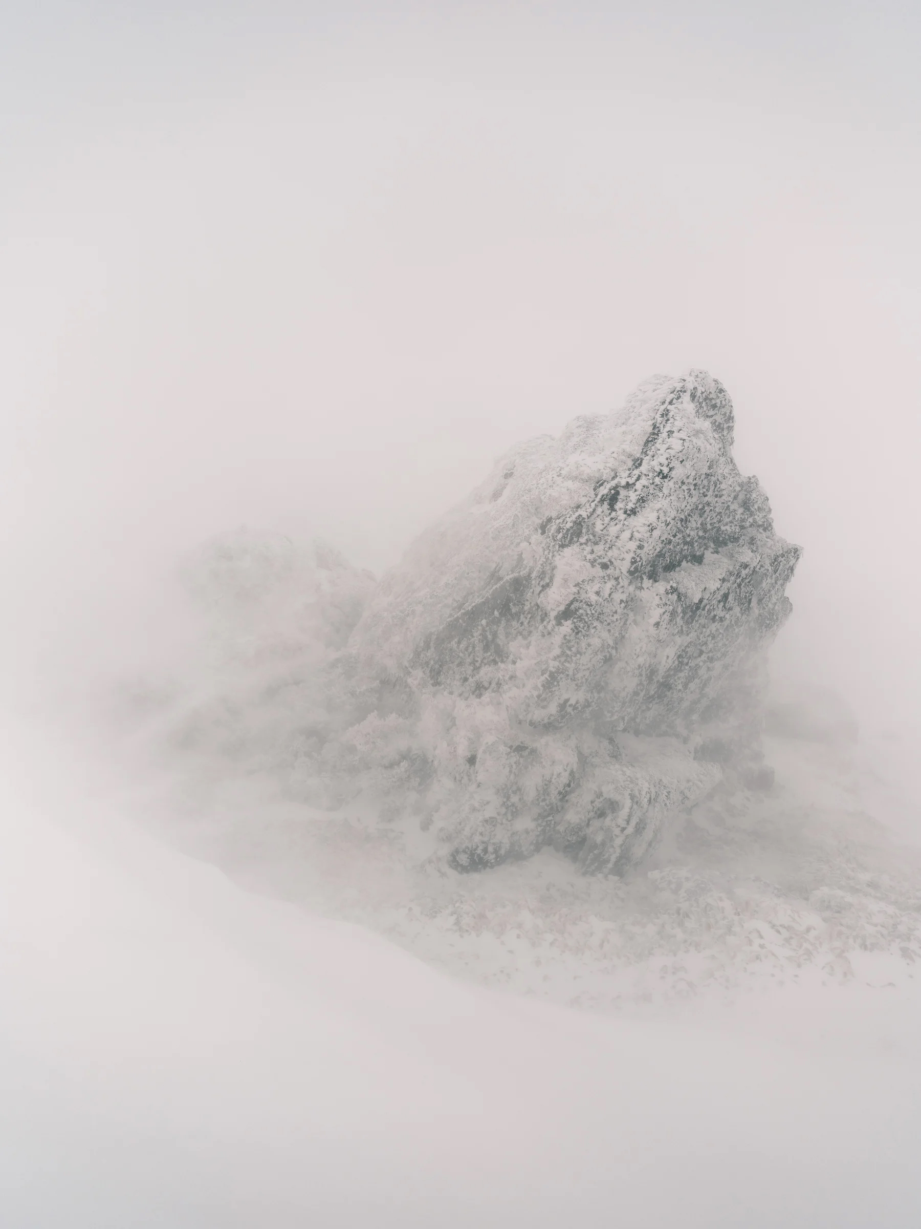 갤러리 508에서 진행 중인 장민승 작가의 사진전 북극성의 포스터입니다