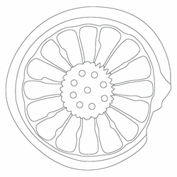 연화문수막새(52980)