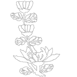 연꽃문(14405)