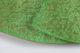 초록색 당의(1434)