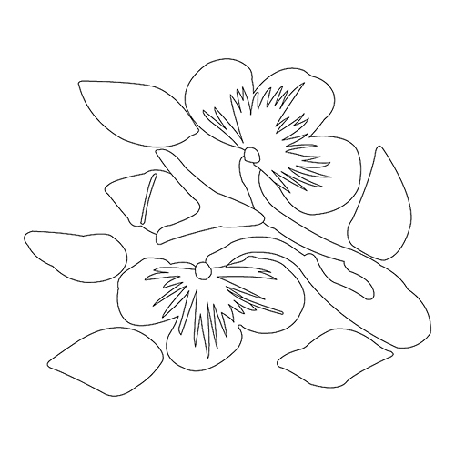 꽃문(75059)