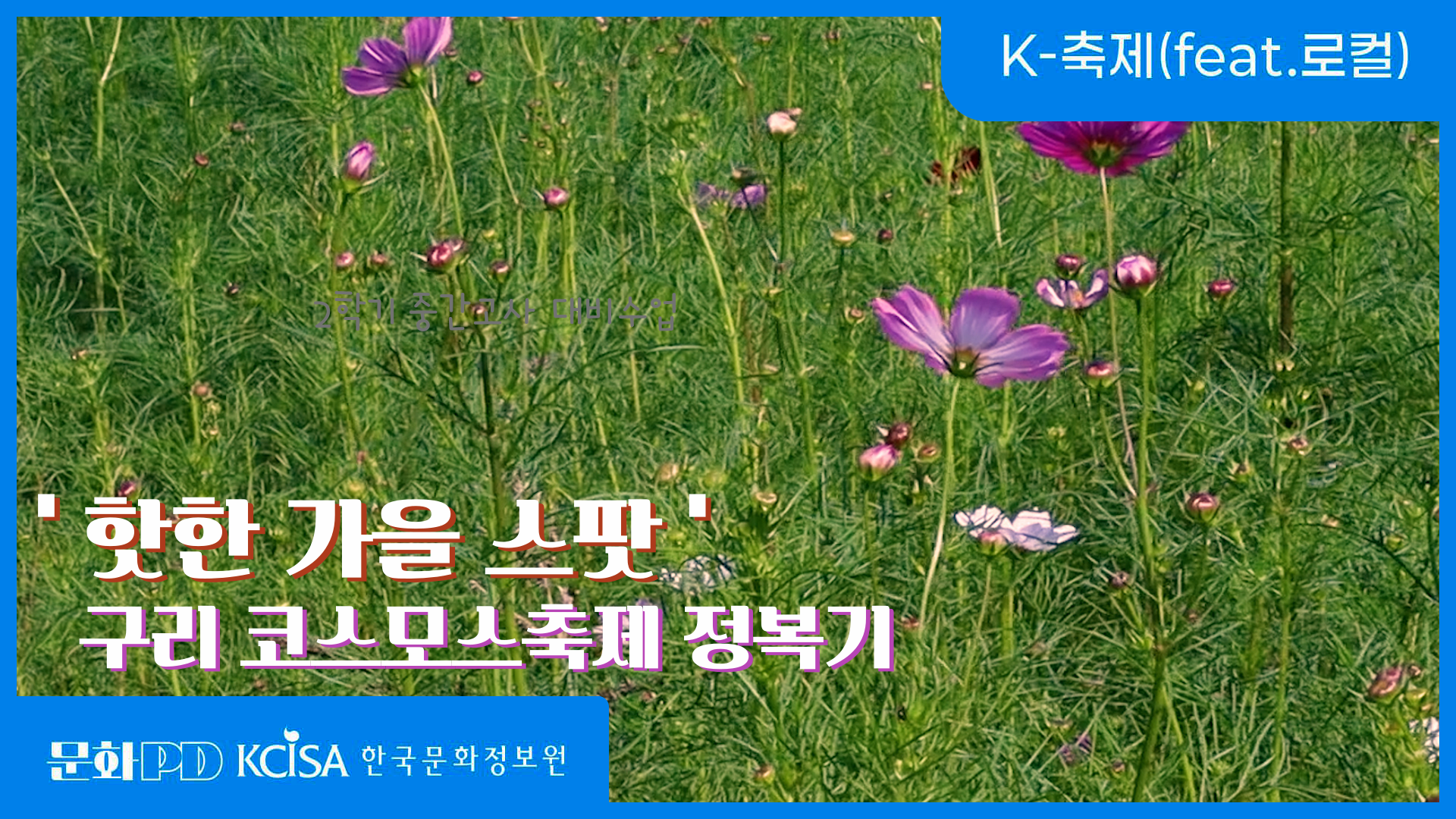 문화PD KCISA 한국문화정보원 경기 (문화PD) 핫한 가을 스팟 구리 ! 코스모스 축제 정복기 | K-축제(feat.로컬)