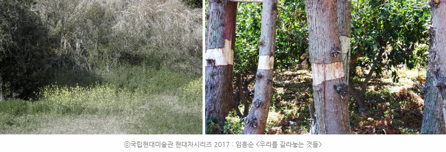 ⓒ국립현대미술관 현대차시리즈 2017 : 임흥순 <우리를 갈라놓는 것들>