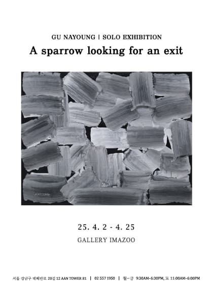 A sparrow looking for an exit | 2025-04-03~2025-04-25 | 갤러리 이마주