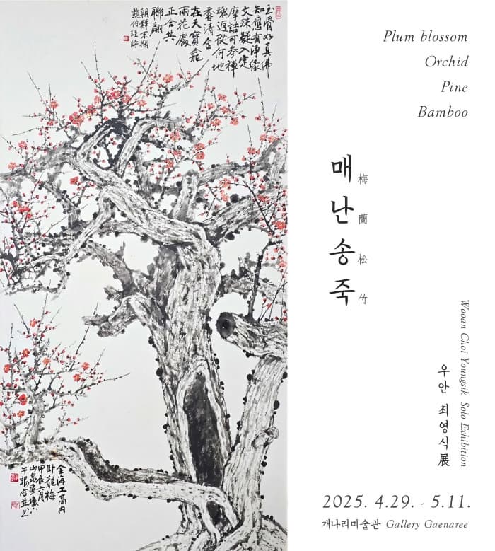최영식 작가는 지난 50여 년간 화필을 놓지 않은 채 묵묵히 자신만의 예술세계를 구축해왔다. 1973년 춘천 묵촌회에서 소헌 박건서 선생의 문하로 입문하여 동양화의 기본을 익혔고, 이듬해인 1974년 제23회 국전에서 매화 작품으로 입선하면서 본격적인 화업의 길을 걷기 시작했다. 이후 묵촌회를 이끌며 수많은 개인전을 열었고, ‘강원의 운보’, ‘강원의 최솔거’로 불릴 만큼 독자적인 화풍을 인정받았다.  매화와 소나무는 그의 대표적인 화제이자, 단순한 자연의 형상을 넘어 그의 삶과 정신, 예술관이 응축된 상징으로 자리잡았다. 매화는 일찍이 국전 입선을 가능케 했던 운명의 소재였고, 소나무는 ‘소눈’이라 불린 우안의 별명처럼, 그 자신을 닮은 존재였다. 이번 전시는 서간지(書簡紙)에 그린 매화, 난초, 소나무, 대나무 작품들로 구성되며, 대부분 10호 이하의 소품으로 이루어져 있다. 사군자로 불리는 매난국죽(梅蘭菊竹)이 아니라, 소나무를 포함한 매난송죽(梅蘭松竹)을 주제로 삼아, 전통적인 화목을 바탕으로 하면서도 자유로운 표현을 통해 현대적인 해석을 더했다. 특히 매화와 소나무, 난초와 대나무처럼 두 가지 소재를 한 화면에 조화롭게 배치한 작품들이 포함되어 있어, 그 어울림과 변주를 감상하는 즐거움이 크다. 서간지 위에 그려진 그림들은 비록 소품이지만, 하나하나에 깃든 정성어린 손길을 통해 마치 작가가 관객에게 전하는 편지처럼 다가온다. 최영식작가는 “이번 전시는 2023년 개인전의 연속성 속에서 그간 매진해 온 매화 그림을 중심으로 출품하게 되었다. 언젠가는 매화와 소나무, 산수가 어우러진 한 폭의 무릉도원을 그리고 싶다.”고 전시의 소회를 밝히고 있다,  오랜 시간 붓을 놓지 않고 한 길을 걸어온 작가의 매난송죽(梅蘭松竹) 그림 편지를 통해, 그 안에 담긴 고요한 정신성과 동양화의 깊은 결을 발견하는 시간이 되길 바란다.