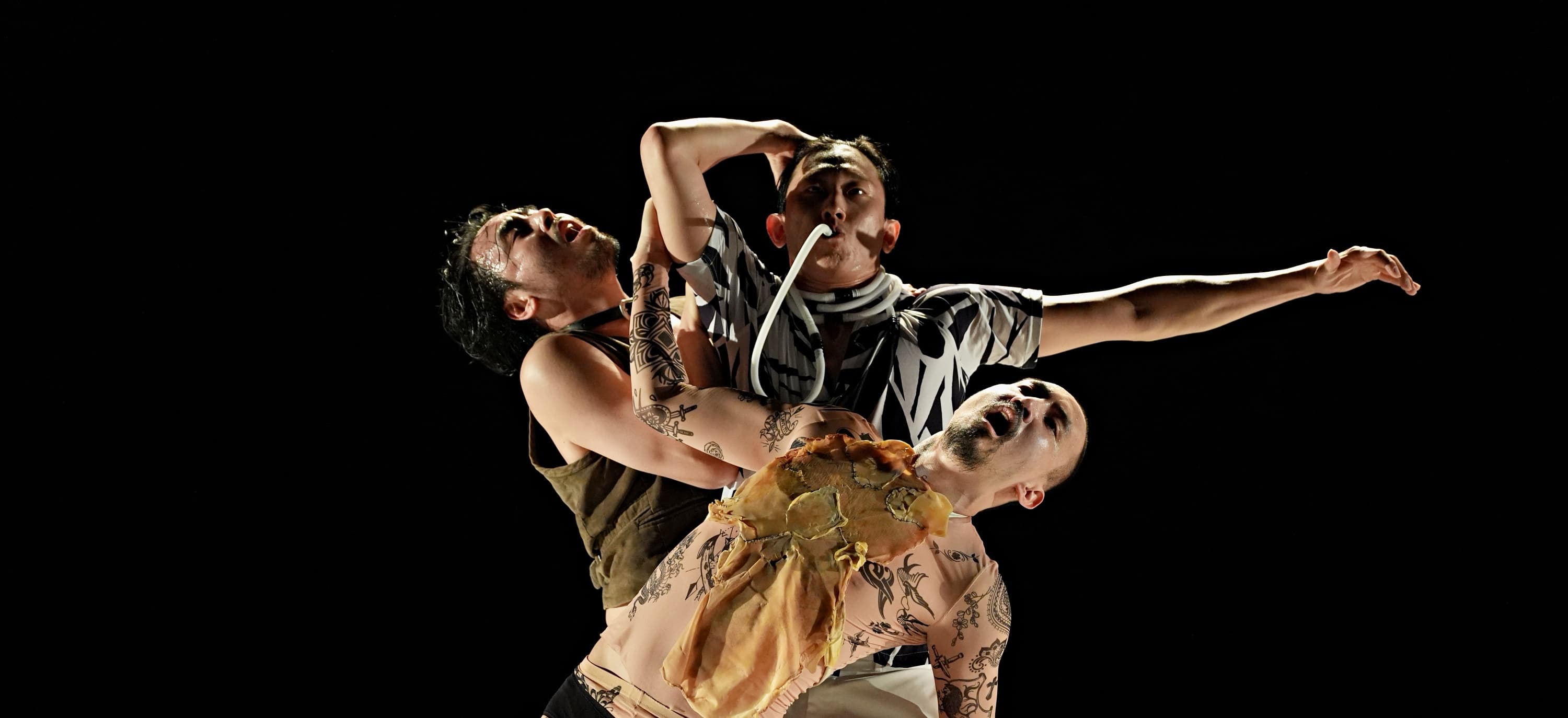 이은경 ＜세게, 쳐주세요＞- 2025 창작산실 올해의신작 무용